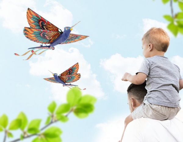 汉王智能家居DIY仿生鸟「小红雀」限量上新!_7