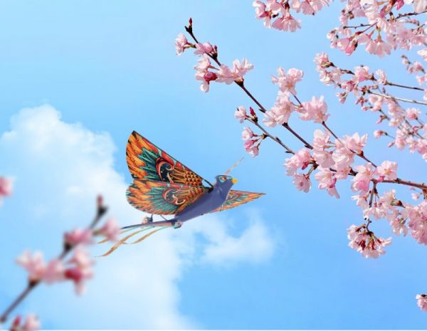 汉王智能家居DIY仿生鸟「小红雀」限量上新!_9