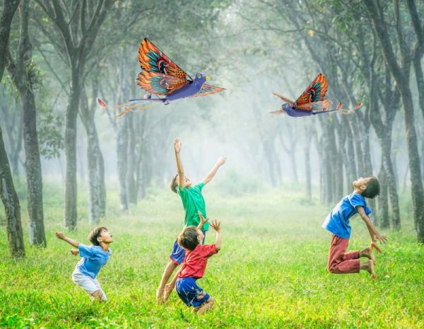 汉王智能家居DIY仿生鸟「小红雀」限量上新!_10