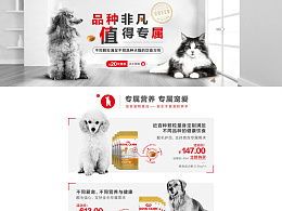 “猫粮告急，宠物日常无忧”