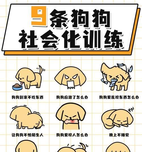 如何训练有咬人习惯的宠物狗（掌握正确的训练技巧，让狗狗重获良好行为习惯）
