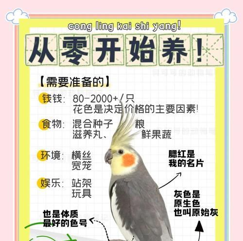 如何正确饲养塞内加尔鹦鹉（塞内加尔鹦鹉的饲养技巧和注意事项）