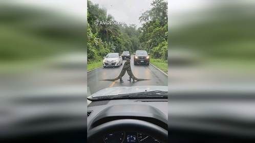 这哥两是久别重逢还是路怒症？