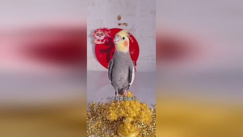 神奇动物在抖音