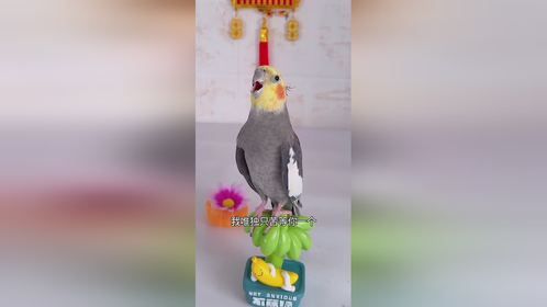 我唯独苦等你一个