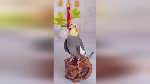 活着究竟为什么