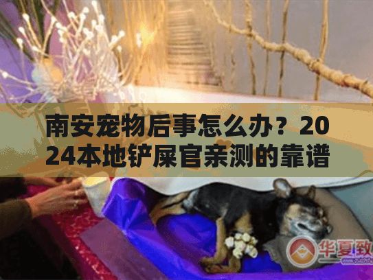 南安宠物后事怎么办?2024本地铲屎官亲测的靠谱服务+避坑技巧