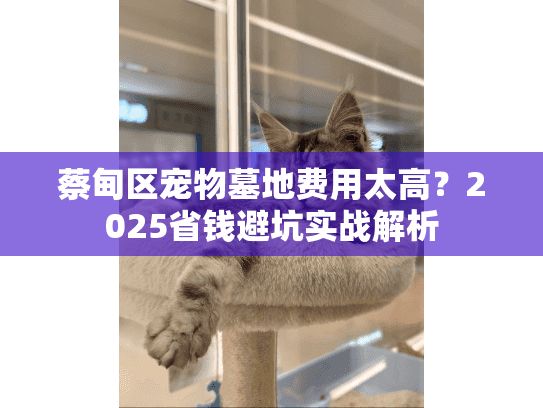 蔡甸区宠物墓地费用太高?2025省钱避坑实战解析