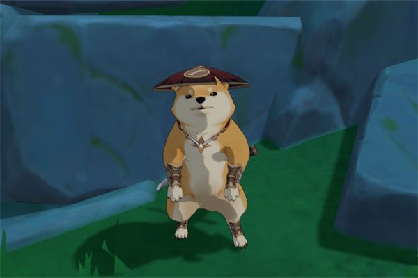 准备四张以稻妻区域动物怎么拍?