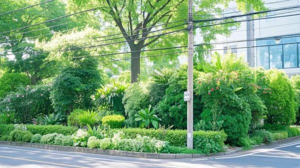 观赏猪笼草都有哪些 猪笼草长什么样子,有哪些品种