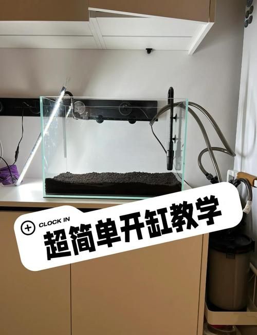 新手鱼缸开缸养水教程图解_新鱼缸消毒除味测试流程