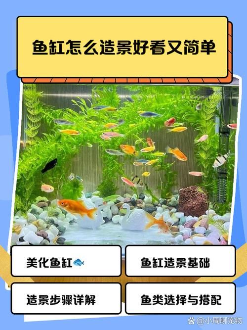 新手鱼缸开缸养水教程图解_新鱼缸消毒除味测试流程