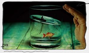 梦见鱼缸碎了家人会有灾吗_家庭矛盾财运波动,需调整心态