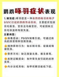 养鸟对肺部有影响吗_粉尘鸟粪伤呼吸,通风清洁戴口罩