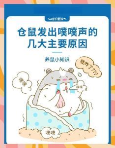 仓鼠半夜叫是什么原因_仓鼠夜间叫什么原因?主子求关注!