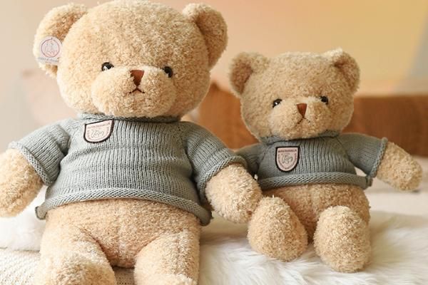 狗狗喜欢的玩具类型,常见的有球类、毛绒、咬胶玩具等