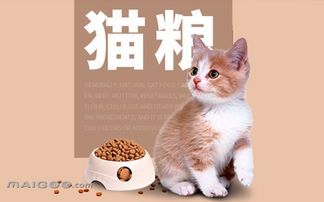 如何养好猫粮品种有哪些,怎样选择猫粮哪种猫粮好