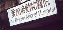 澳门宠物店: 愛加倍A+ Dream動物醫院 (24 小時營業)