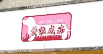 澳门宠物店: 愛狗成痴 Pet Pet Shop