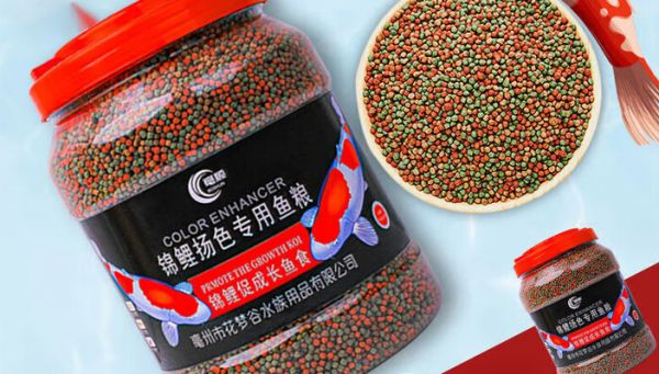 锦鲤专用鱼粮推荐:三效合一的直隶戏水轩扬色塑体秘诀