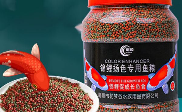 锦鲤专用鱼粮推荐:三效合一的直隶戏水轩扬色塑体秘诀