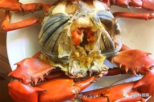 宠物螃蟹吃什么?营养食谱推荐