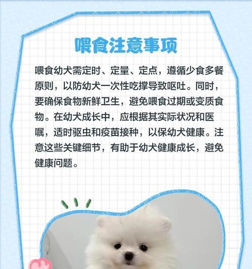 幼犬健康食谱，宠物享受无忧生活（为你的小狗提供营养均衡的饮食，从小健康成长）