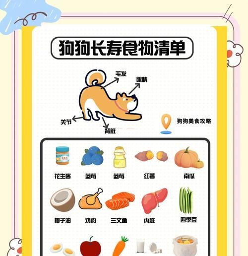 幼犬健康食谱，宠物享受无忧生活（为你的小狗提供营养均衡的饮食，从小健康成长）