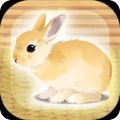 治愈兔兔养成