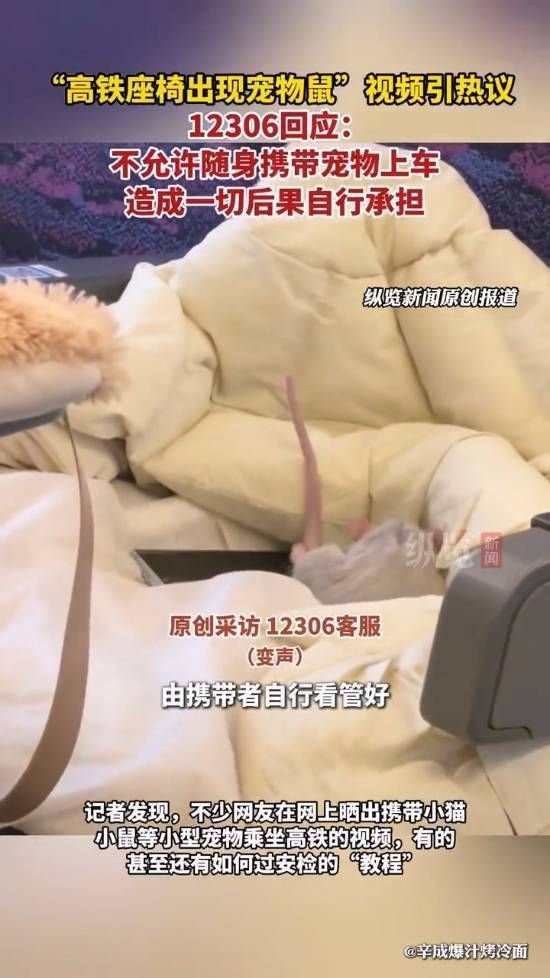 12306回应“宠物鼠被带上高铁”
