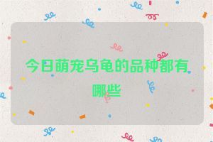 今日萌宠乌龟的品种都有哪些