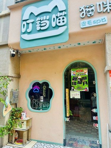 连流浪猫都爱来的宠物店