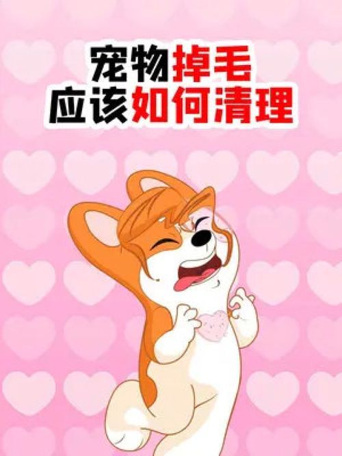 “宠物换毛季，你家毛孩多久换毛一次？”