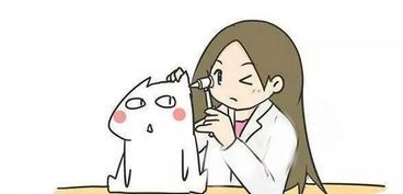 宠物全面体检项目一览