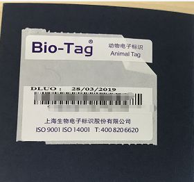 宠物全面体检项目一览