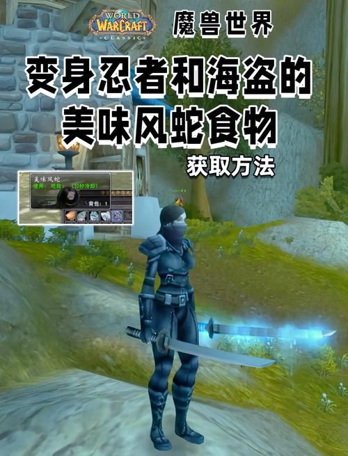 TBC风蛇技能详解:最强技能搭配及实用技巧