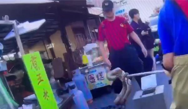 林男11日遛蛇逛大街，不料宠物蛇突然缠住他的脖子，导致他跌倒撞到后脑勺，林男倒卧路旁流出一滩血，吓坏路人。（民眾提供／谢佳潾屏东传真）