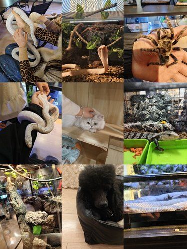 德思勤附近的宝子别错过