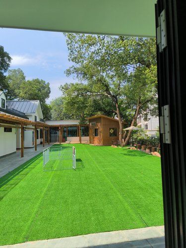 宠物主的遛狗天堂~