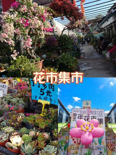 福州首个年花市集来啦