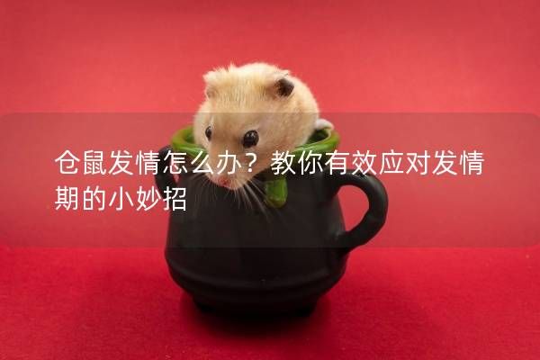 仓鼠发情怎么办?教你有效应对发情期的小妙招