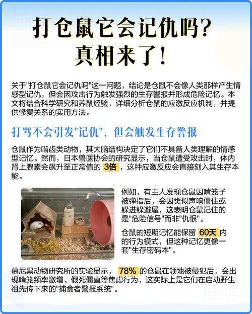 打仓鼠他会记仇吗_别打骂仓鼠了,它们不记仇但会害怕,会被吓坏