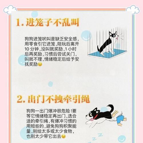 如何在笼子里养狗？（宠物狗笼养护指南，让你的狗狗健康快乐成长）