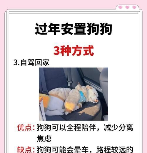 如何在笼子里养狗？（宠物狗笼养护指南，让你的狗狗健康快乐成长）
