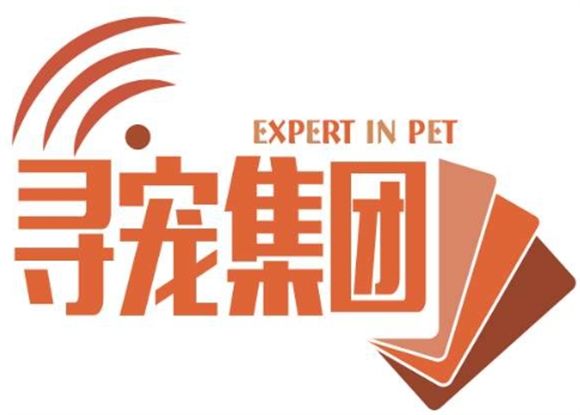 宠物救援网络的社会价值：寻宠集团的民生服务延伸