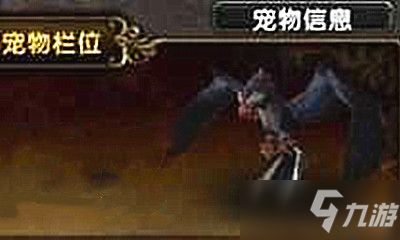 《魔兽世界》宠物伊奇获取攻略