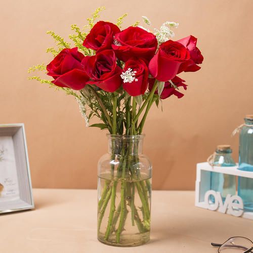 金龙鱼饲养成本大揭秘：投资与回报全解析！