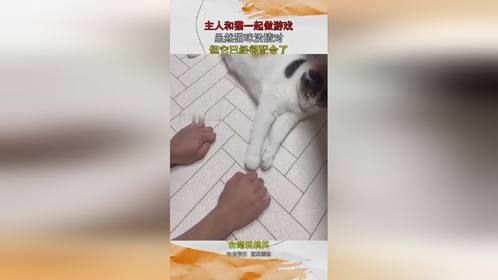 主人和猫一起做游戏，虽然猫咪没猜对，但它已经很配合了！