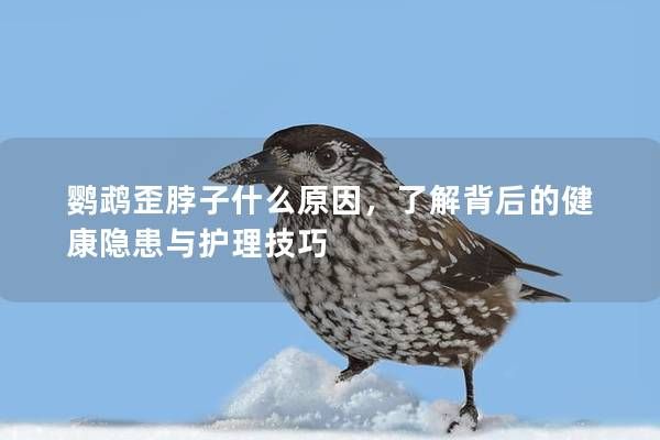 鹦鹉歪脖子什么原因，了解背后的健康隐患与护理技巧