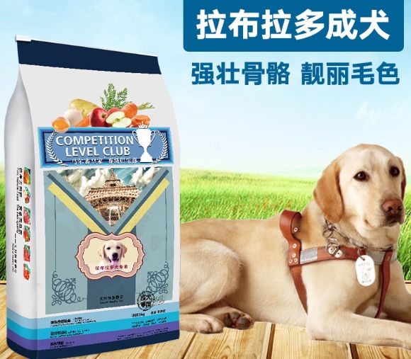 狗狗肠胃不好吃什么狗粮?实测马尔赛皇家消化率确实能打!